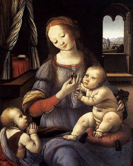 LORENZO DI CREDI Madonna with the Christ Child and St John the Baptist china oil painting image